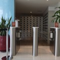 Waist High Barrier Optical Swing Gates, Lane Executive Series EX300-ZM-ADA